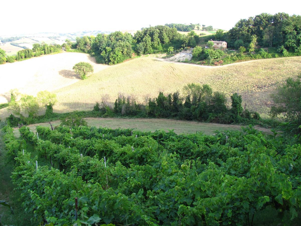 Agriturismo Bacchiocchi Panzió Orciano di Pesaro Kültér fotó